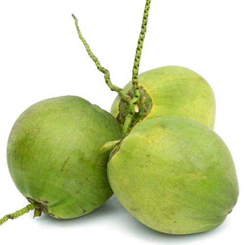 Dừa
