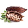 Cacao