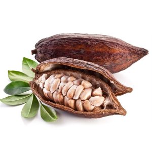 Cacao